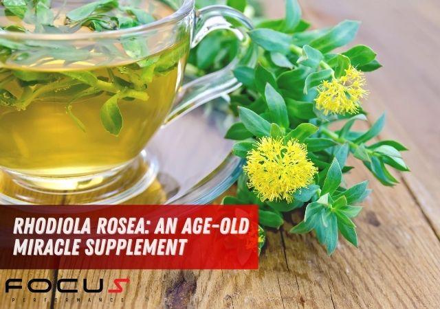 Rhodiola Rosea An Age Old Miracle Supplement Focus Performance